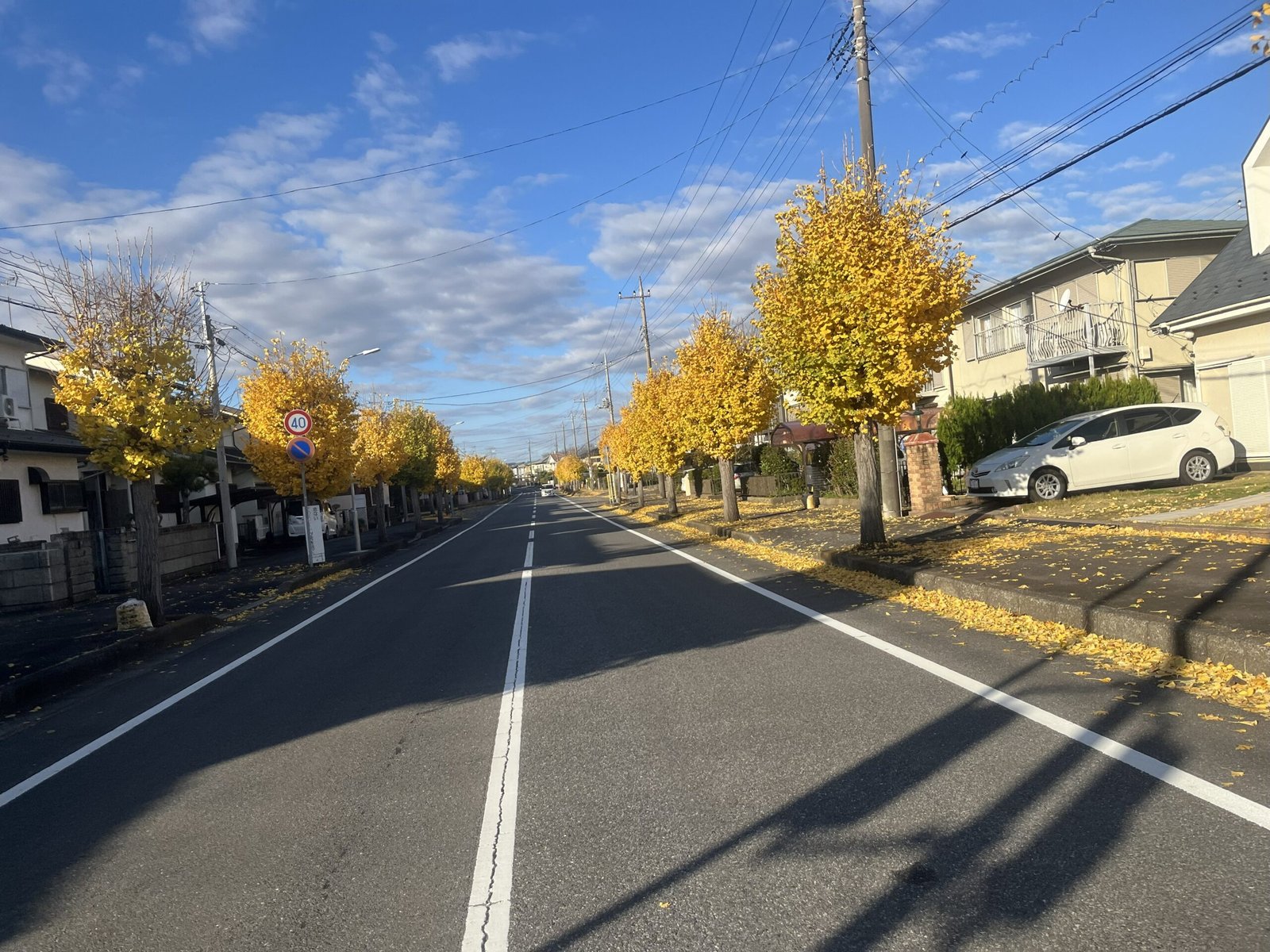 Read more about the article 2025년 마지막 12월의 편지